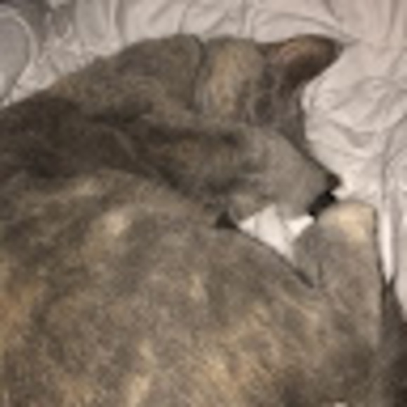 Meet your Posher, Shannon - Picture 1 of 1